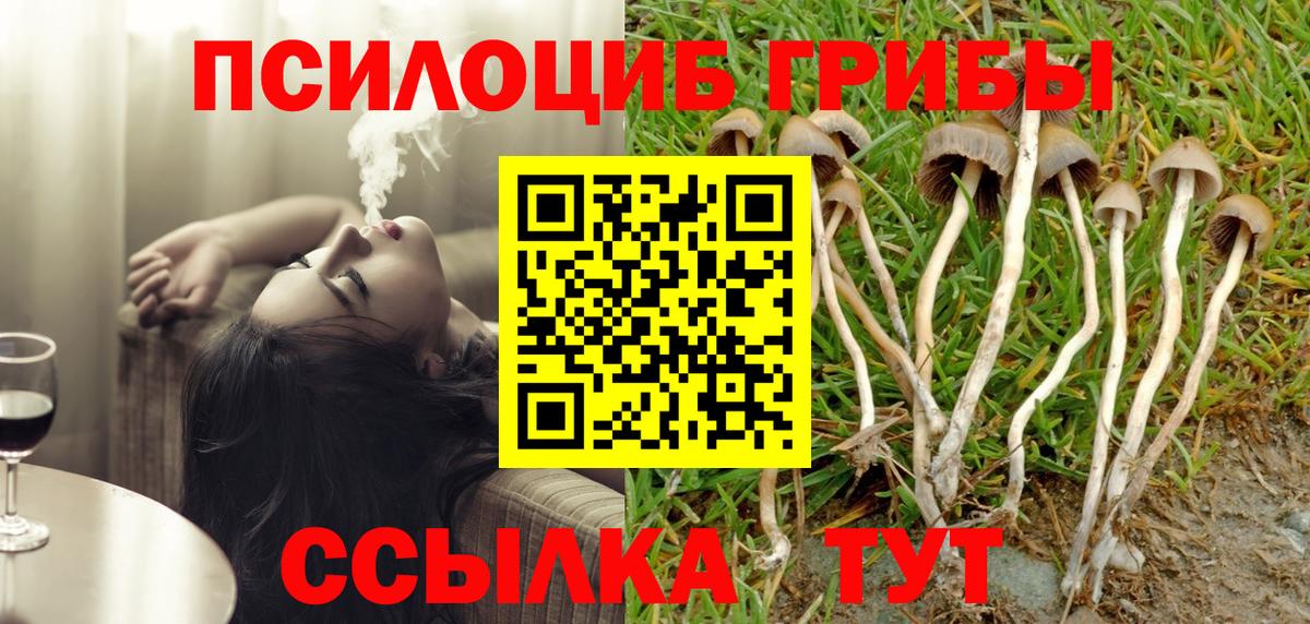 Псилоцибиновые грибы Cubensis Дзержинский